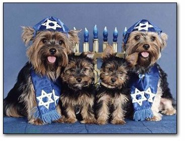 http://www.culvercitydogpark.org/images/chanukah2.jpg